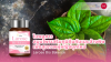 Houttuynia_cordata