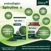 Spirulina X  สไปรูลิน่า เอ็กซ์