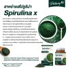 Spirulina X  สไปรูลิน่า เอ็กซ์