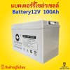 LV Topsun deep cycle battery 12v 100ah