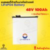 LV Topsun Lithuim Battery 48V 100Ah