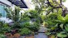 สวนสไตล์ทรอปิคอล (TROPICAL STYLE) สวนสไตล์ทรอปิคอล (TROPICAL STYLE)