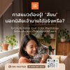 ทาสแมวต้องรู้! ถอดรหัสสีขน สู่บ้านที่ปลอดภัยเพื่อเจ้านาย ทาสแมวต้องรู้! ถอดรหัสสีขน สู่บ้านที่ปลอดภัยเพื่อเจ้านาย