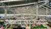 เจาะลึกตลาดไท ปทุมธานี: เดินยังไงให้ได้ของสด ราคาถูกที่สุด I SKE SOLAR เจาะลึกตลาดไท ปทุมธานี: เดินยังไงให้ได้ของสด ราคาถูกที่สุด I SKE SOLAR