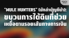 &quot;Mule Hunters&quot; (นักล่าบัญชีม้า): ขบวนการใต้ดินช่วยเหยื่อตามรอยเงิน