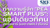 PEA Smart Plus: แอปที่คนติดโซลาร์ (เขต กฟภ.) ต้องมี | SKE Solar
