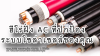 สาย THW และสายดิน (G/Y): 2 ฮีโร่ฝั่ง AC ที่ปกป้องระบบโซล่าเซลล์ของคุณ
