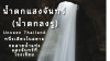 น้ำตกแสงจันทร์ (น้ำตกลงรู): Unseen Thailand หนึ่งเดียวในสยาม ชมสายน้ำแห่งแสงจันทร์ที่โขงเจียม