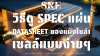วิธีดู Spec แผ่น Datasheet แผงโซล่าเซลล์ฉบับง่าย: 4 จุดตายที่ต้องเช็คก่อนซื้อ | SKE Solar