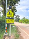 Traffic Sign