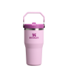 Stanley แก้วเก็บอุณหภูมิ รุ่น The IceFlow Flip Straw Tumbler ขนาด 20 ออนซ์