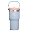Stanley - The IceFlow Flip Straw Tumbler | 20 OZ
