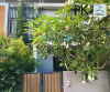 10R0212 This house for rent 2 bedroom 2 bathroom 20,000/month at Muang