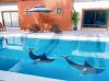 7R0932 ให้เช่า pool villa 3 ห้องนอน 3 ห้องน้ำ ราคา 85,000/เดือน โซนราไวย์