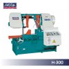 H-300