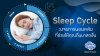 ไขความลับ Sleep Cycle : วงจรการนอนที่ช่วยให้ตื่นมาสดชื่นทุกวัน ไขความลับ Sleep Cycle : วงจรการนอนที่ช่วยให้ตื่นมาสดชื่นทุกวัน
