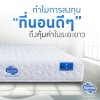 ทำไมการลงทุนที่นอนดีๆถึงคุ้มในระยะยาว ทำไมการลงทุนที่นอนดีๆถึงคุ้มในระยะยาว