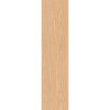 TATAMI 30x120