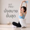 TOYOKI Sit Pro Elite เบาะปรับท่านั่งเพื่อสุขภาพ รองรับสรีระ รุ่นใหม่ ใหญ่กว่า นั่งสบายกว่าเดิม