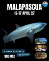 Malapascue (Day Trip)