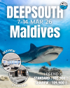 Deepsouth Maldives