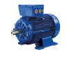 MARELLI EXPLOSION - PROOF MOTOR IE1 - IE2
