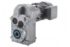 Parallel Shaft Geared Motors