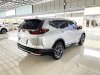 Honda CR-V 1.6 DT EL (ปี 2020) SUV AT