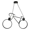Hanging Lamp MODEL  05-SLC-3021-2L-BK (E27x2)  Black