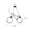 Hanging Lamp MODEL 05-SL-3021-2L-BK Color Matte black
