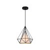 Hanging Lamp MODEL  06-ML-12431 (E27x1)  Black