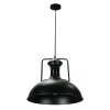 Pendant Lamp MODEL 06-SL-12513  Color Matte black