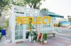 Reflectcafe บรรยากาศอบอุ่น คาเฟ่เป็นเรือนกระจกทั้งหลัง Reflectcafe บรรยากาศอบอุ่น คาเฟ่เป็นเรือนกระจกทั้งหลัง