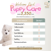 แพ็กเกจวัคซีนครบสำหรับเจ้าสุนัขวัย 26 เดือน สำหรับน้องหมา 4,199 บาท