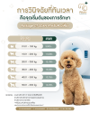 PACKAGE - CT Scan สำหรับสัตว์เลี้ยง
