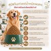 สุนัขกินเก่งแต่น้ำหนักลดลง มีโอกาสป่วยเป็นโรคอะไรบ้าง? สุนัขกินเก่งแต่น้ำหนักลดลง มีโอกาสป่วยเป็นโรคอะไรบ้าง?