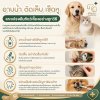 อาบน้ำ ตัดเล็บ เช็ดหู และแปรงฟันสัตว์เลี้ยงอย่างถูกวิธี อาบน้ำ ตัดเล็บ เช็ดหู และแปรงฟันสัตว์เลี้ยงอย่างถูกวิธี