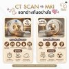 CT Scan vs MRI ต่างกันยังไง? และแบบไหนเหมาะกับสัตว์เลี้ยงของคุณมากที่สุด? CT Scan vs MRI ต่างกันยังไง? และแบบไหนเหมาะกับสัตว์เลี้ยงของคุณมากที่สุด?