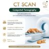 CT Scan เพื่อการวินิจฉัยที่แม่นยำและมีประสิทธิภาพ