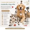 การตรวจสุขภาพประจำปี สำคัญกว่าที่คิด