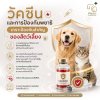 วัคซีนและการป้องกันพยาธิ เกราะป้องกันสำคัญของสัตว์เลี้ยง