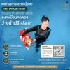สระว่ายน้ำสัตว์เลี้ยง