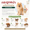 กระดูกสะบ้าเคลื่อนในสุนัข, Patellar Luxation, สุนัขเดินกะเผลก, ข้อเข่าสุนัข, ผ่าตัดกระดูกสะบ้าเคลื่อน, โรคข้อเข่าสุนัข, สุนัขพันธุ์เล็ก, อาการกระดูกสะบ้าเคลื่อน, การรักษากระดูกสะบ้าเคลื่อน, ข้อเข่าเสื่อมในสุนัข กระดูกสะบ้าเคลื่อนในสุนัข, Patellar Luxation, สุนัขเดินกะเผลก, ข้อเข่าสุนัข, ผ่าตัดกระดูกสะบ้าเคลื่อน, โรคข้อเข่าสุนัข, สุนัขพันธุ์เล็ก, อาการกระดูกสะบ้าเคลื่อน, การรักษากระดูกสะบ้าเคลื่อน, ข้อเข่าเสื่อมในสุนัข