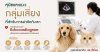 PetSurgery, ผ่าตัดสัตว์เลี้ยง, ศัลยกรรมสัตว์เลี้ยง, โรงพยาบาลสัตว์, Echocardiogram, ตรวจหัวใจสัตว์เลี้ยง, วางยาสลบสัตว์เลี้ยง, ผ่าตัดสุนัข, ผ่าตัดแมว, สัตวแพทย์, PetHealth, DogHealth, CatHealth, PetCare, ผ่าตัดฉุกเฉินสัตว์เลี้ยง, ผ่าตัดกระดูกสัตว์เลี้ยง, PetSurgery, ผ่าตัดสัตว์เลี้ยง, ศัลยกรรมสัตว์เลี้ยง, โรงพยาบาลสัตว์, Echocardiogram, ตรวจหัวใจสัตว์เลี้ยง, วางยาสลบสัตว์เลี้ยง, ผ่าตัดสุนัข, ผ่าตัดแมว, สัตวแพทย์, PetHealth, DogHealth, CatHealth, PetCare, ผ่าตัดฉุกเฉินสัตว์เลี้ยง, ผ่าตัดกระดูกสัตว์เลี้ยง,