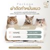ค่าบริการทำหมันแมวเพศผู้ และเพศเมีย - ศูนย์การสัตวแพทย์ PKAH รังสิต