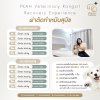 ผ่าตัดสุนัข, ผ่าตัดแมว, ผ่าตัดสุนัขแมว, ผ่าตัดสัตว์เลี้ยง, ผ่าตัดหมา, ผ่าตัดทำหมันหมา, ผ่าตัดทำหมันแมว, ผ่าตัดฉุกเฉินสุนัข, ผ่าตัดฉุกเฉินแมว, ผ่าตัดเนื้องอกสุนัข, ผ่าตัดเนื้องอกแมว, ผ่าตัดกระดูกสุนัข, ผ่าตัดกระดูกแมว, ผ่าตัดสุนัขราคา, ผ่าตัดแมวราคา, ค่าผ่