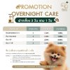 โปรดี ๆ สำหรับคนรักน้อง Overnight Care ฝากเลี้ยงค้างคืน ฝากเลี้ยง 2 วัน แถมฟรี 1 วัน