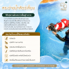 สระว่ายน้ำสัตว์เลี้ยง, สระว่ายน้ำสุนัข, สระว่ายน้ำแมว, ว่ายน้ำสุนัข, ว่ายน้ำสัตว์เลี้ยง, สระว่ายน้ำสำหรับสุนัข, สระว่ายน้ำสัตว์เลี้ยง กรุงเทพ, สระว่ายน้ำสุนัข กรุงเทพ, pet swimming pool, dog swimming pool, สระว่ายน้ำสัตว์เลี้ยงระบบโอโซน, สระว่ายน้ำสุนัขระ