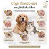 สุนัขคัน ขนร่วง โรคผิวหนังสุนัขและแมว สุนัขคัน ขนร่วง โรคผิวหนังสุนัขและแมว