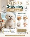 Grooming รับ Summer Ozone Spa Pet Therapy โปรแกรมฟื้นฟูผิวหนังและเส้นขนสัตว์เลี้ยงด้วยโอโซน